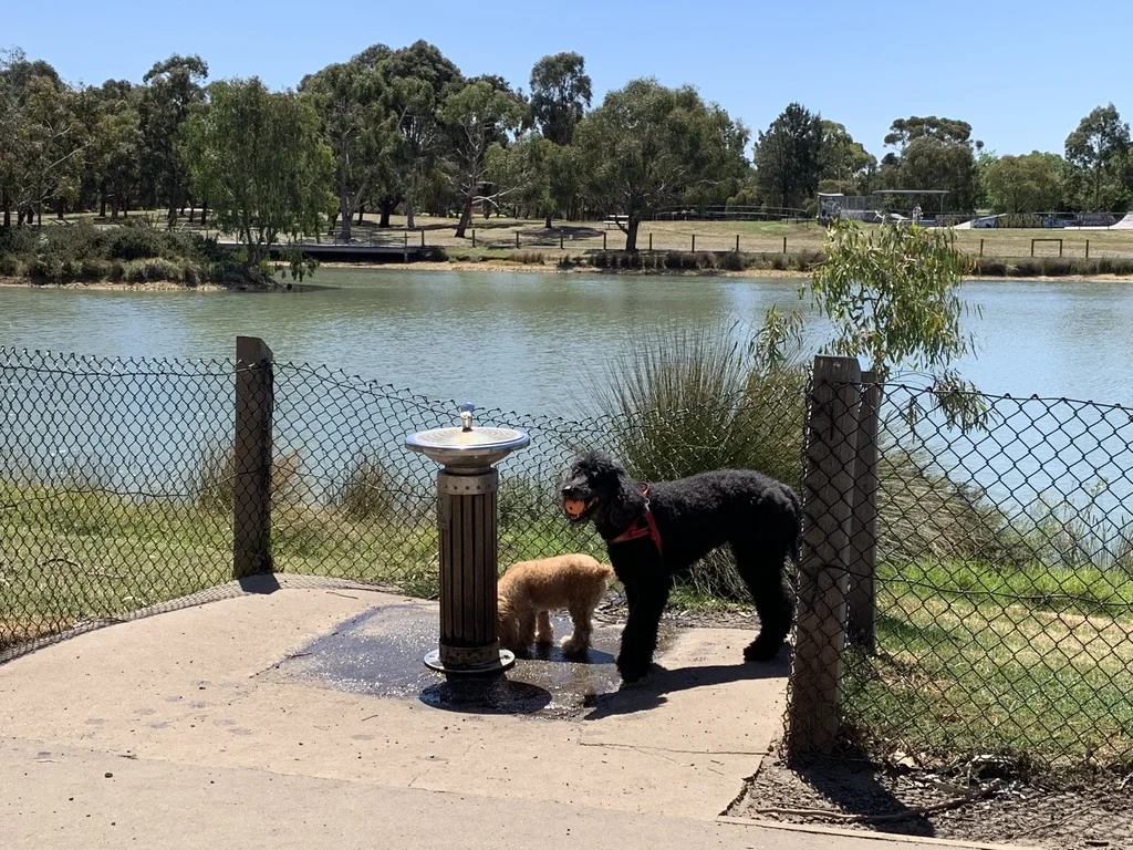 Additional image 33 of 2/44 Wave Street, Elwood VIC 3184