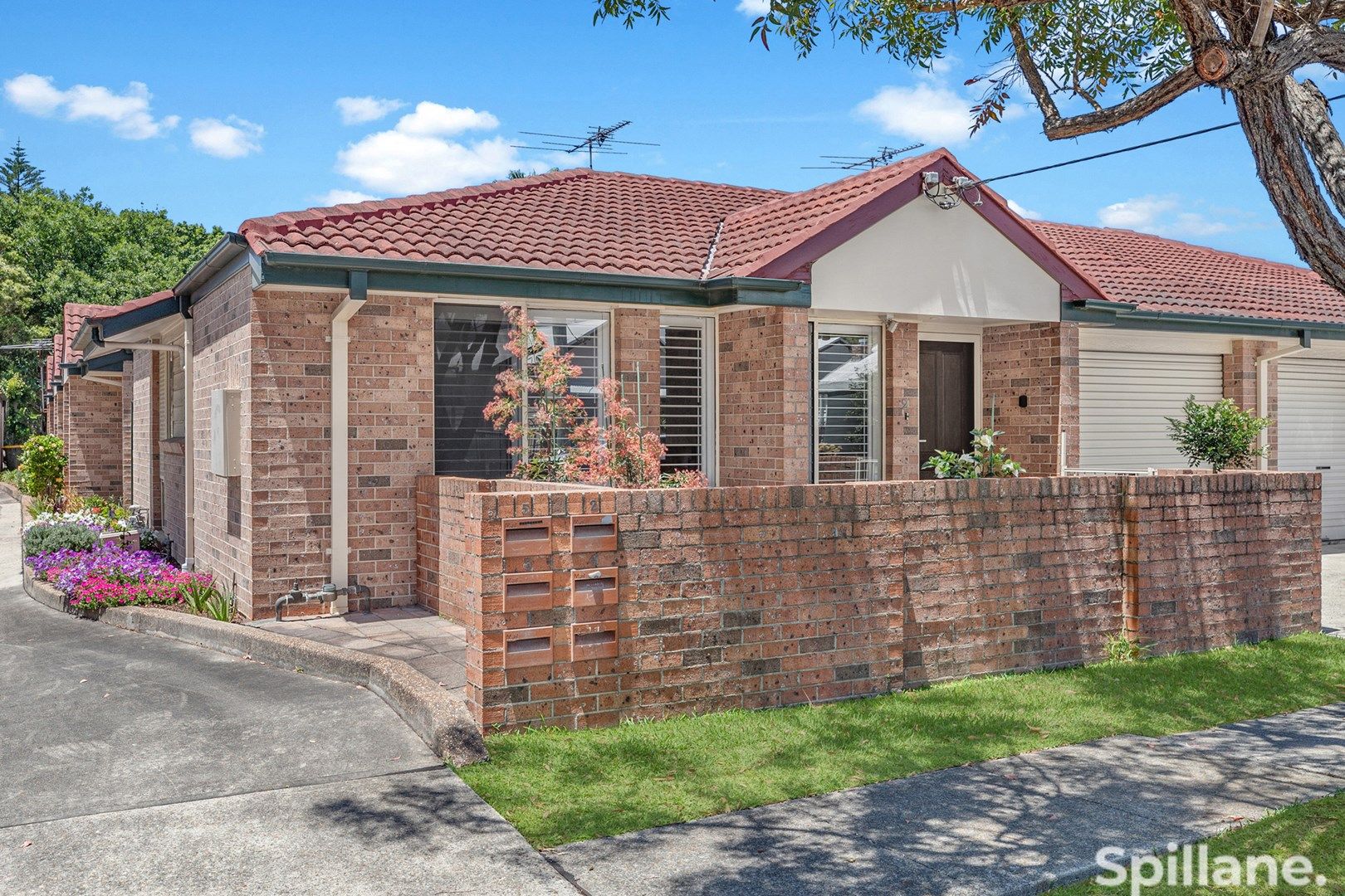 2/3 Wilson Street, Hamilton NSW 2303, Image 0