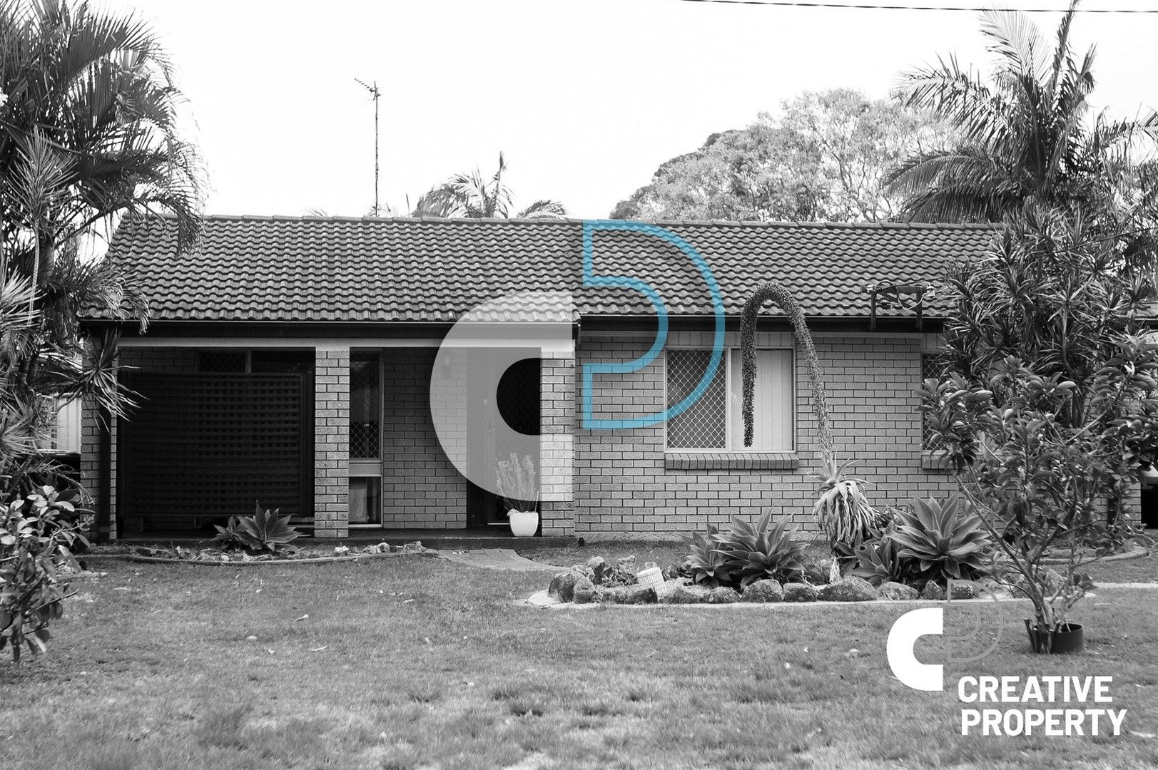 19 Lloyd George Grove, Tanilba Bay NSW 2319, Image 0