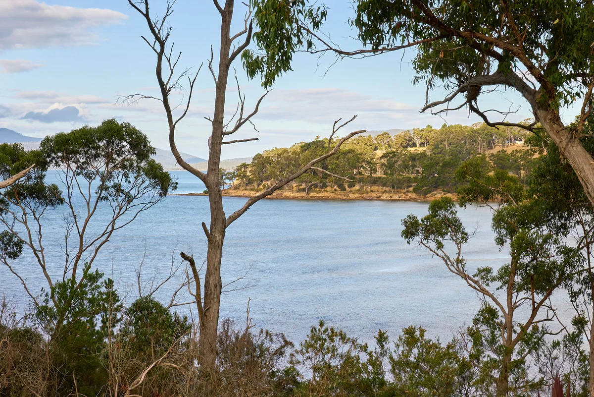 Image 13