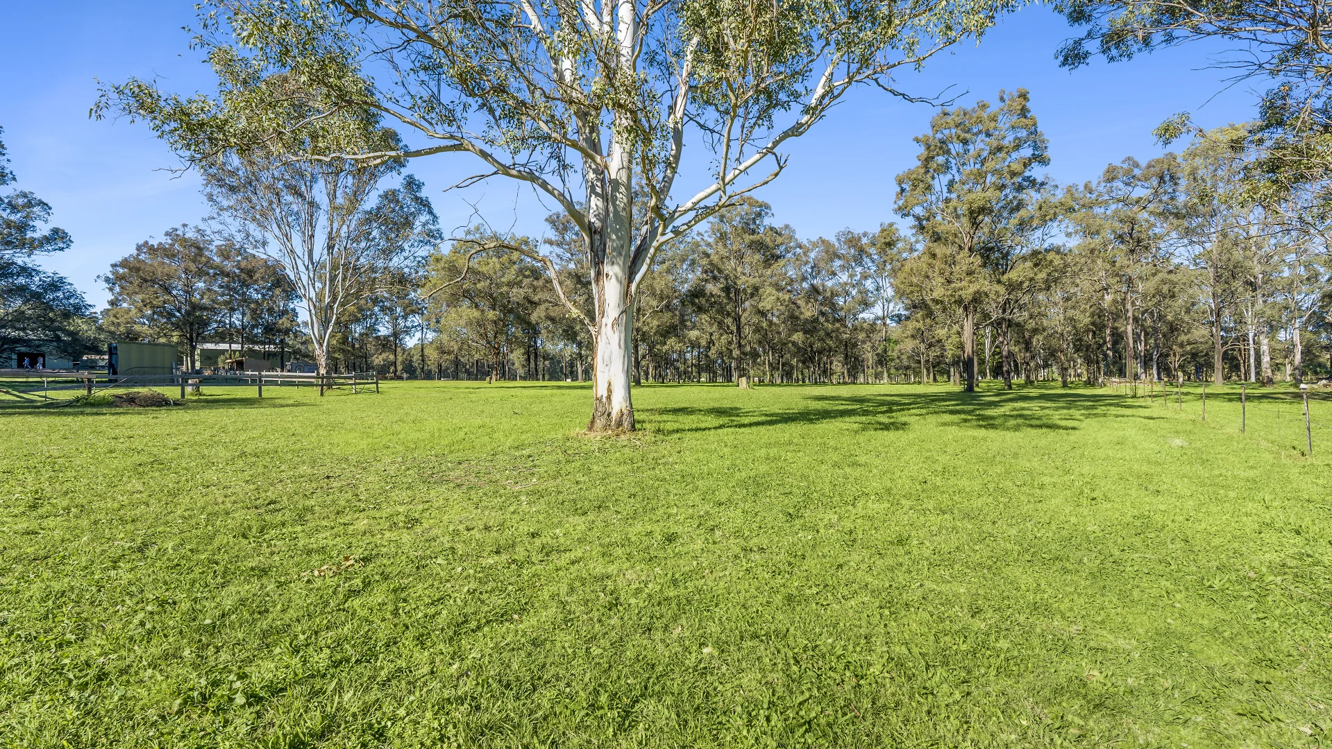 Image 18