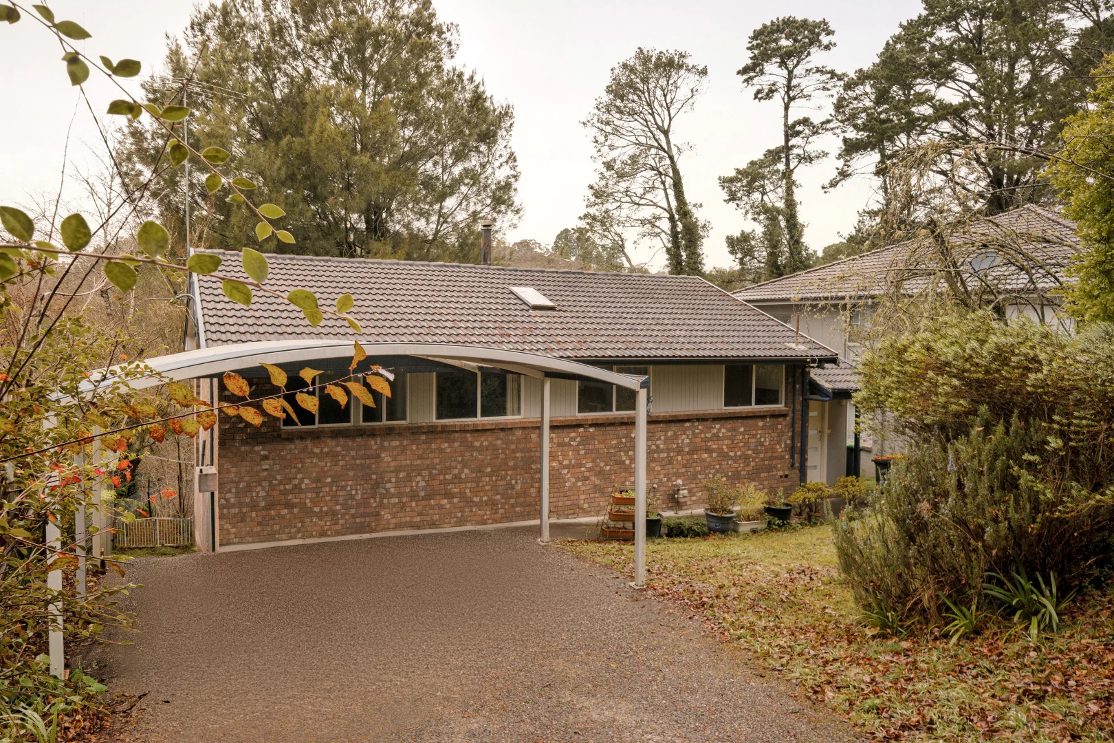 Image 14