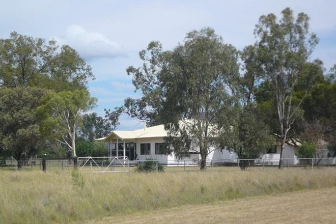 Picture of 255 UNDULLA CREEK ROAD, TARA QLD 4421