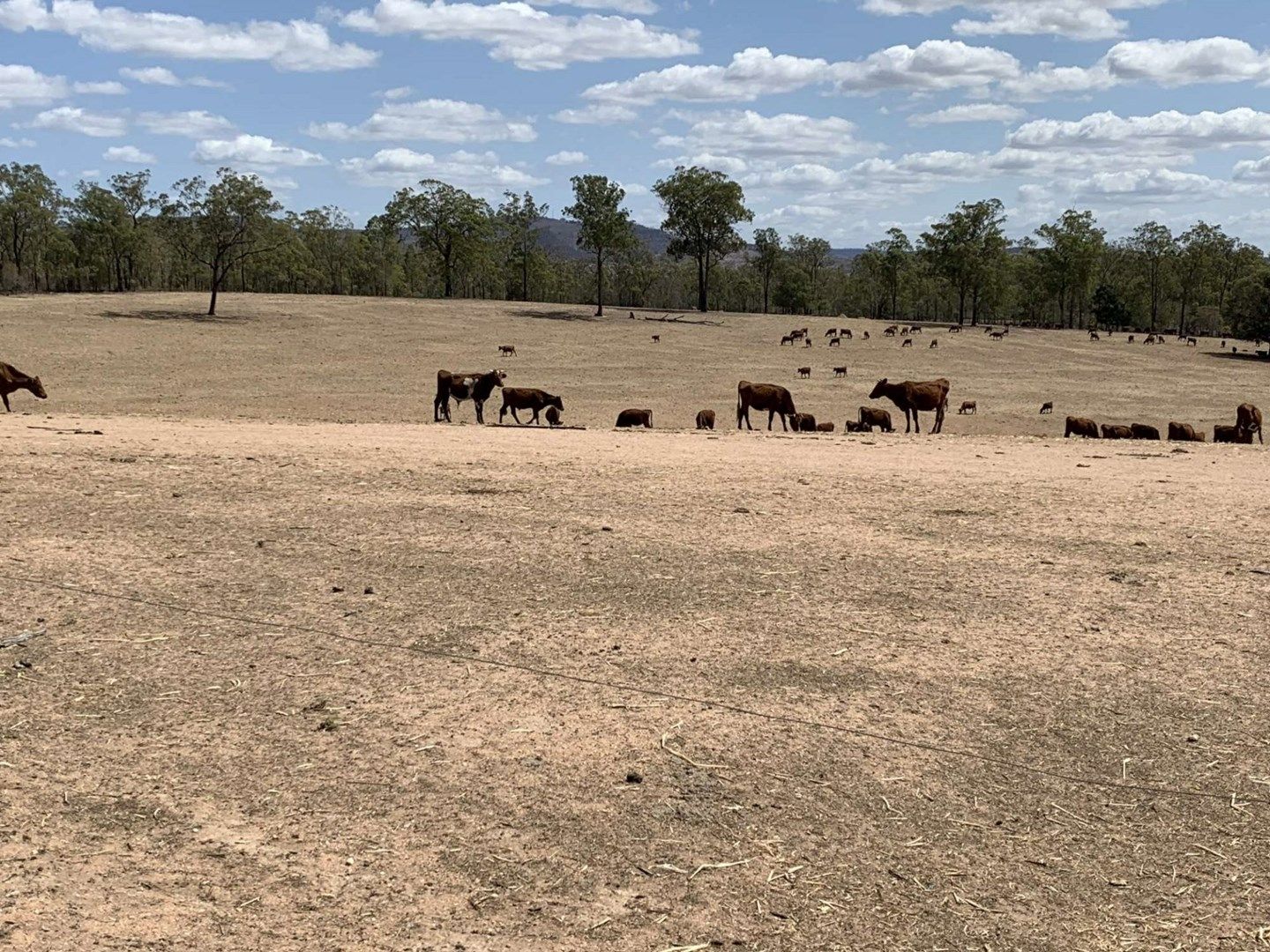 7 Sippel Road, Laidley Heights QLD 4341