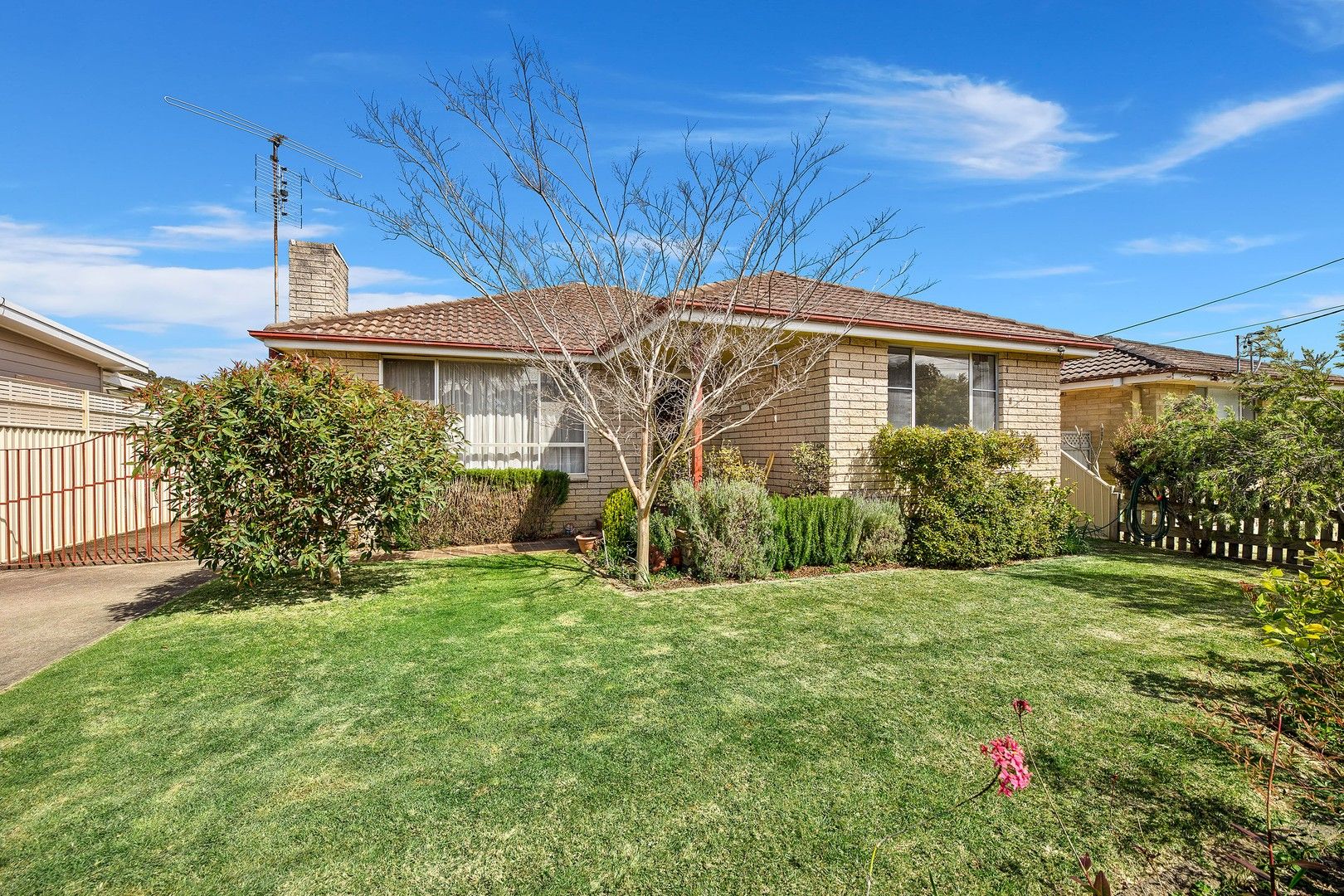 17 Hyland Avenue, Narooma NSW 2546, Image 0