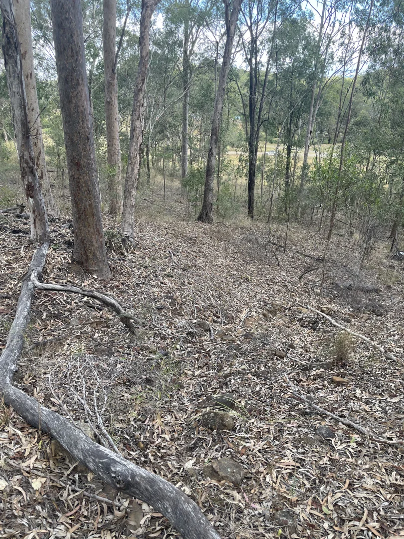 Image 8
