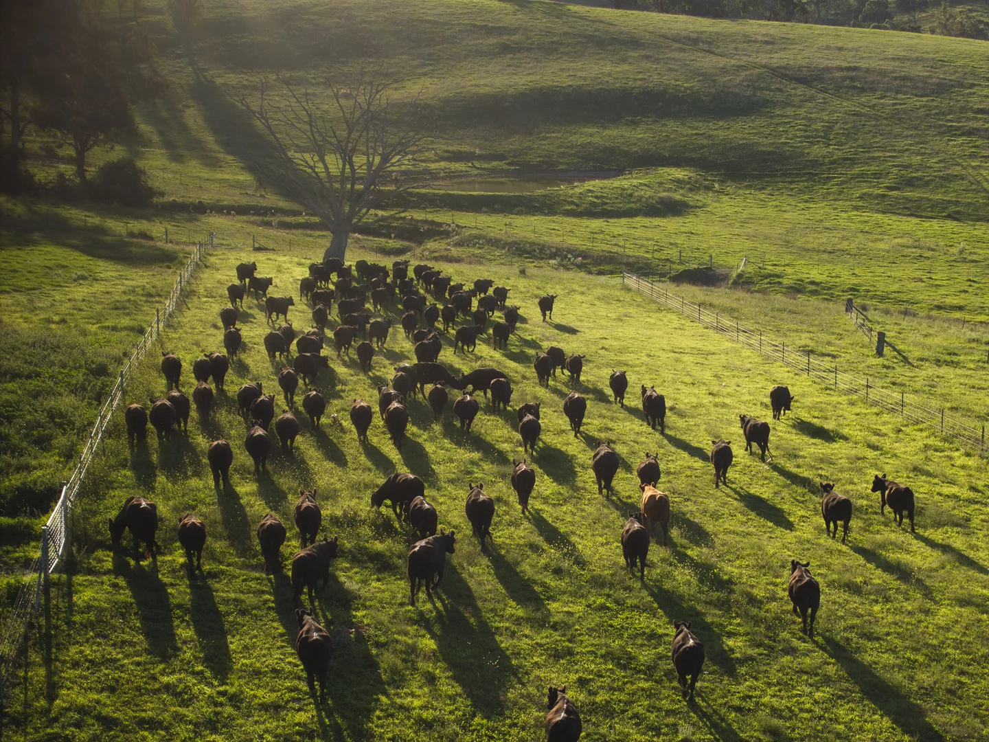 Additional image 2 of Tarana NSW 2787