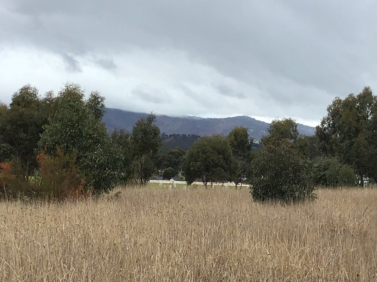 When the Market is Hot they do/1 Avenel Road, Seymour VIC 3660, Image 0