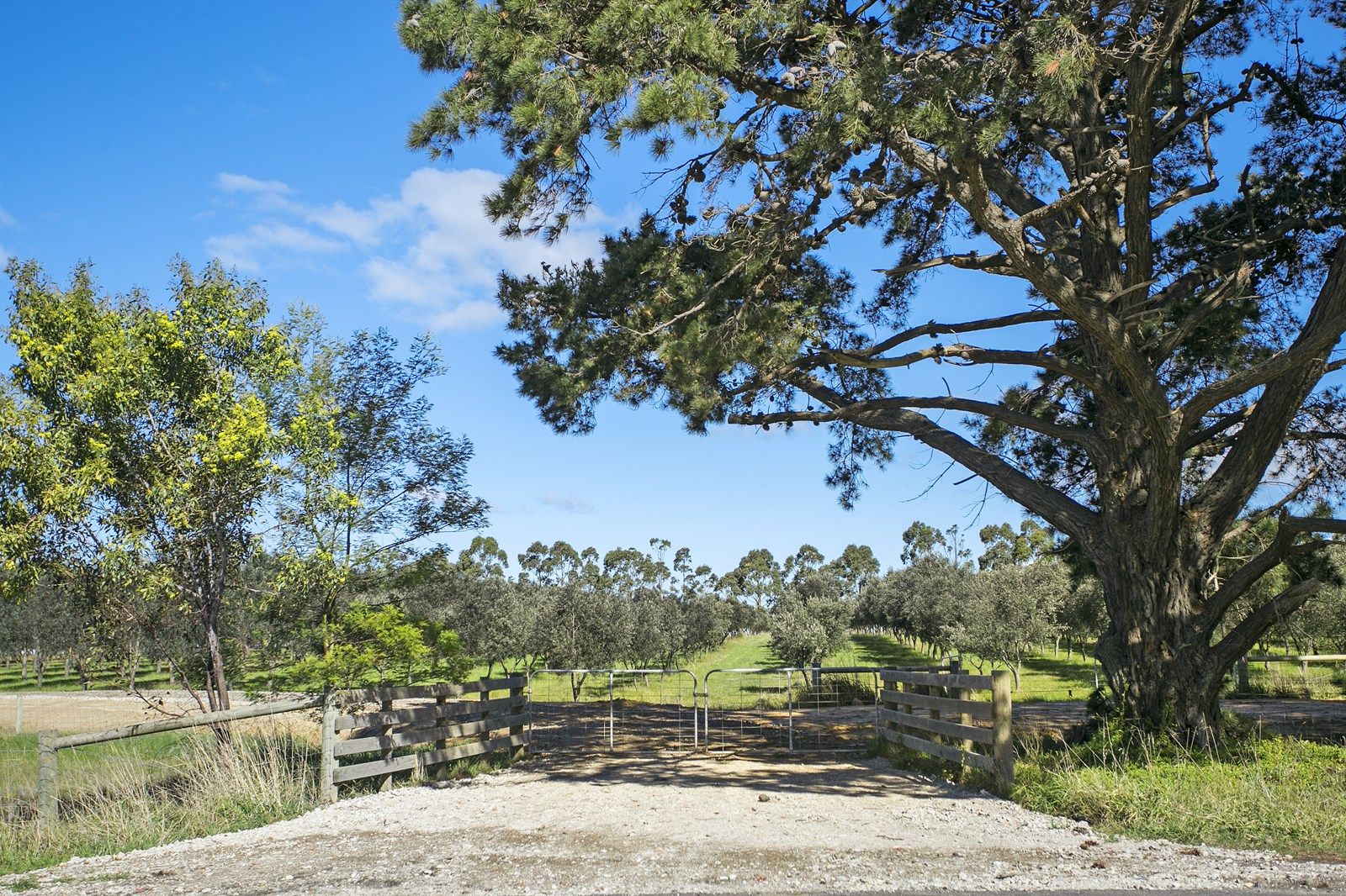 662-740 Murradoc Road, St Leonards VIC 3223, Image 1