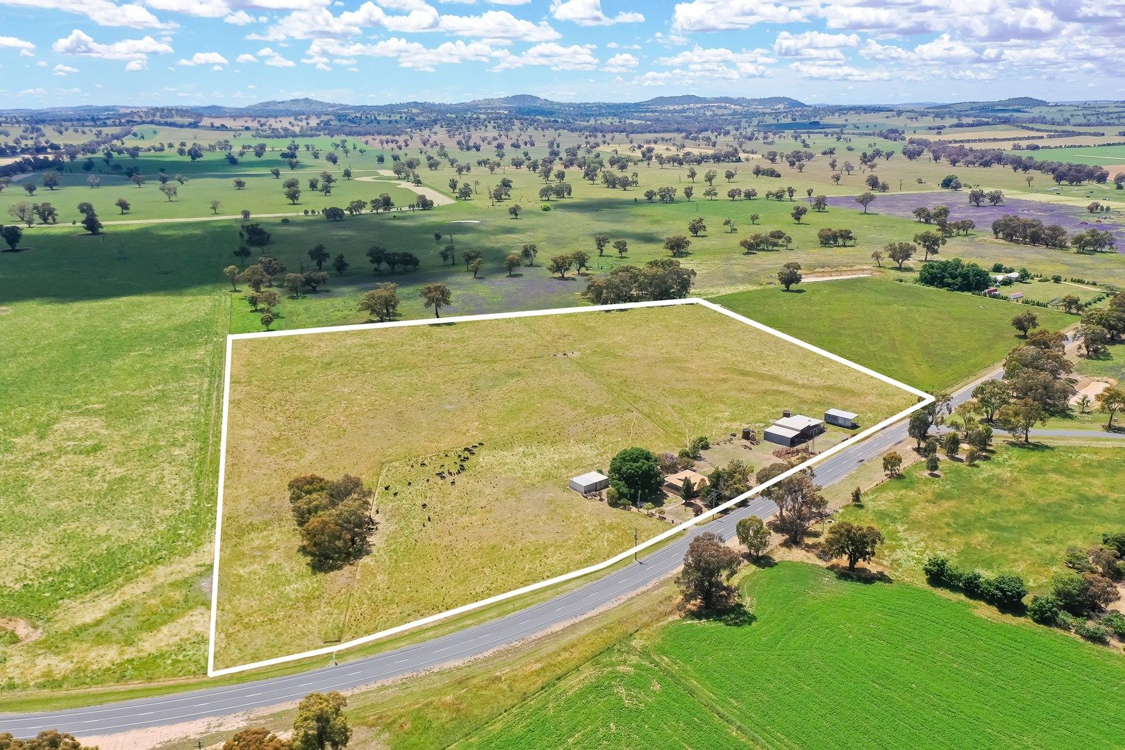 'Canowinda'/2128 Culcairn Holbrook Rd, Morven NSW 2660, Image 0