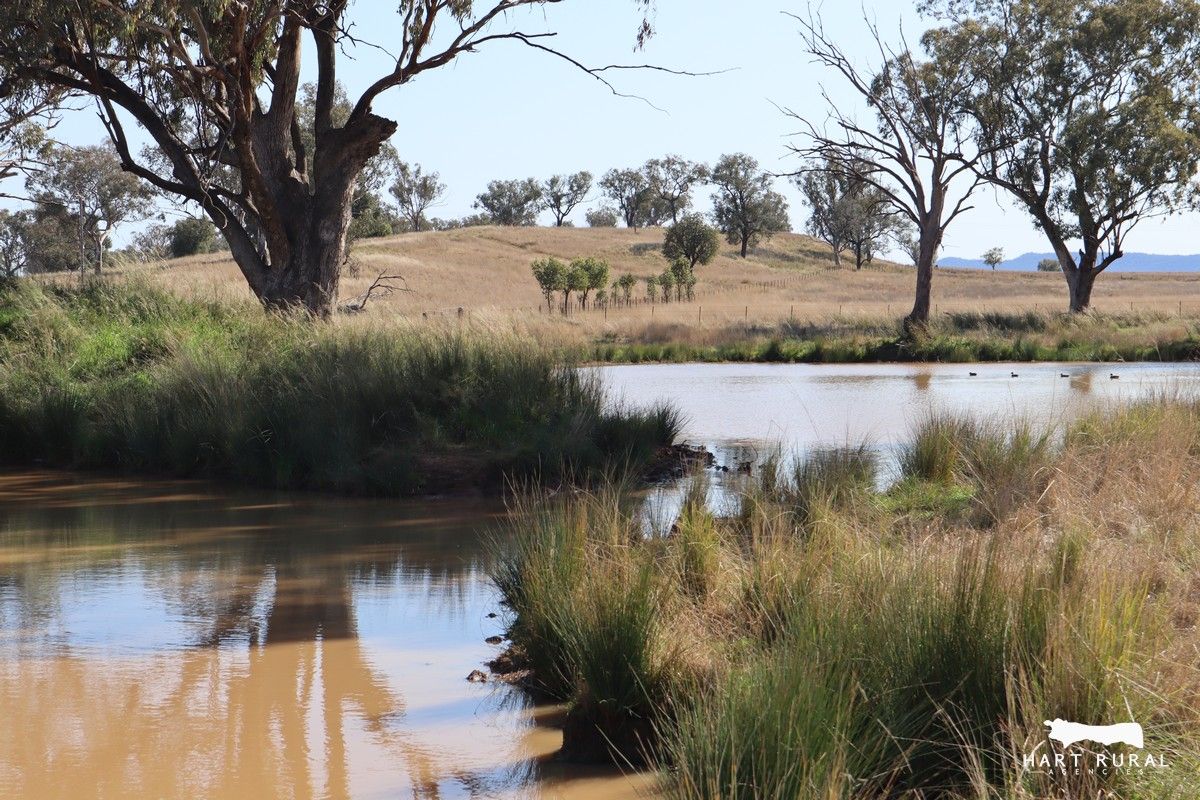 1926 Rushes Creek Road, Manilla NSW 2346, Image 2