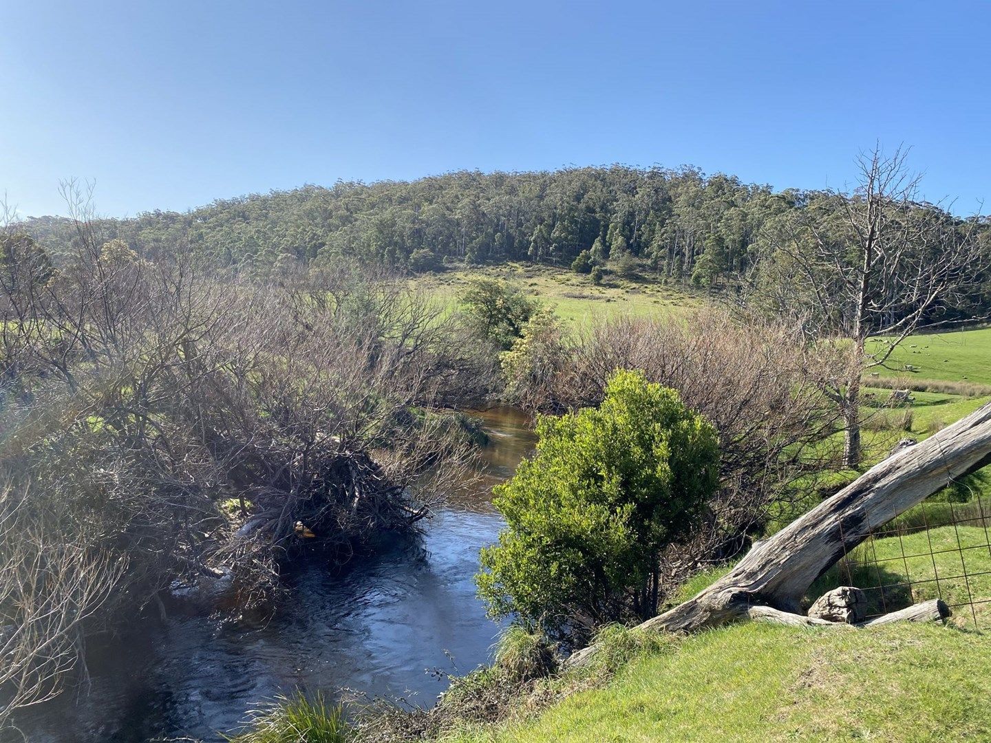 179 Reids Road, St Helens TAS 7216, Image 0