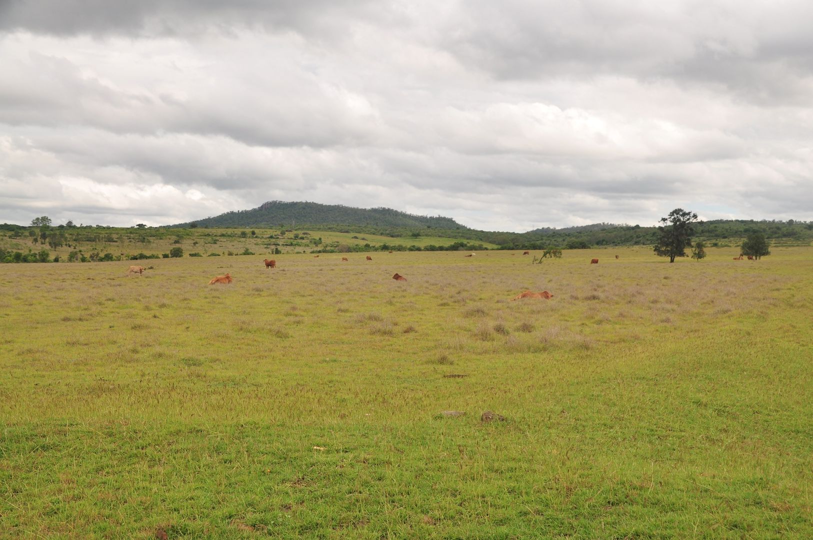 'Claidan Park', Dalma QLD 4702, Image 2