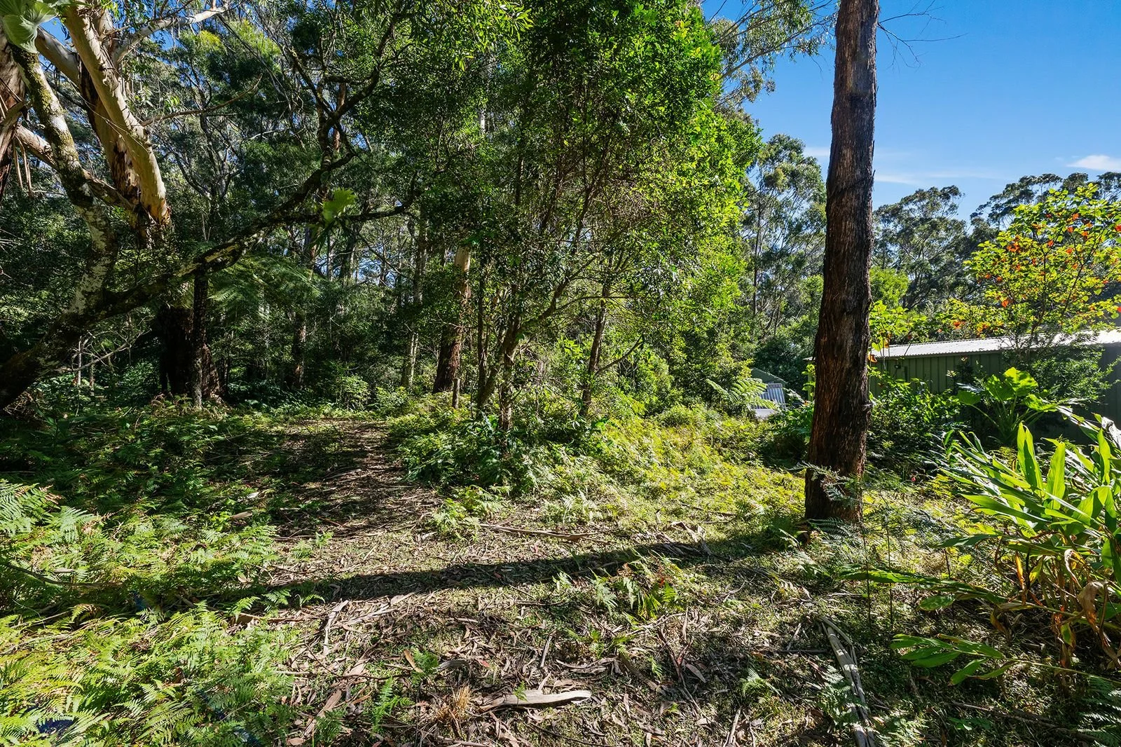 Image 10