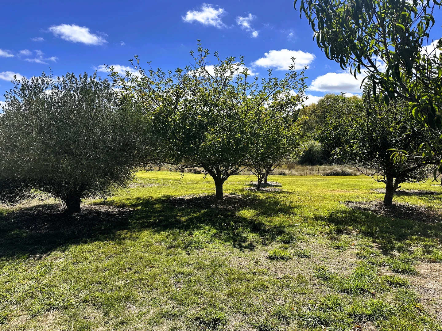 Additional image 19 of 128 Wheeo Road, Grabben Gullen NSW 2583