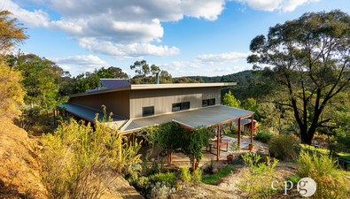 Picture of 290 Golden Point Road, GOLDEN POINT VIC 3451
