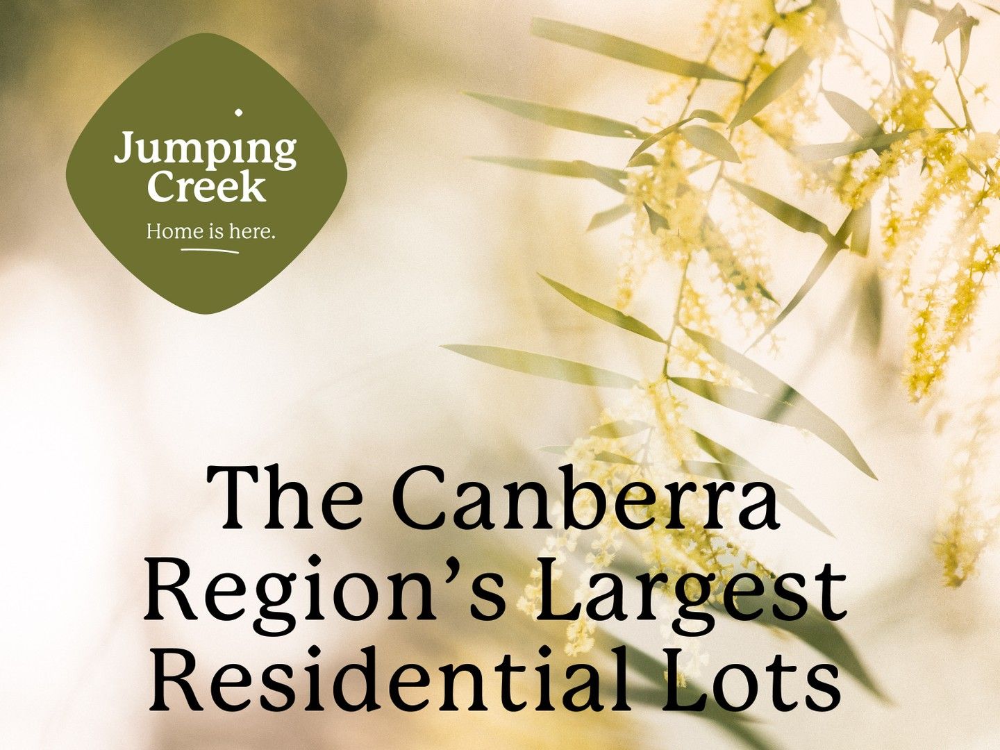 New land in , GREENLEIGH NSW, 2620