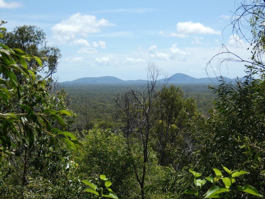 Vacant land in 463 Matchbox Road, DEEPWATER QLD, 4674