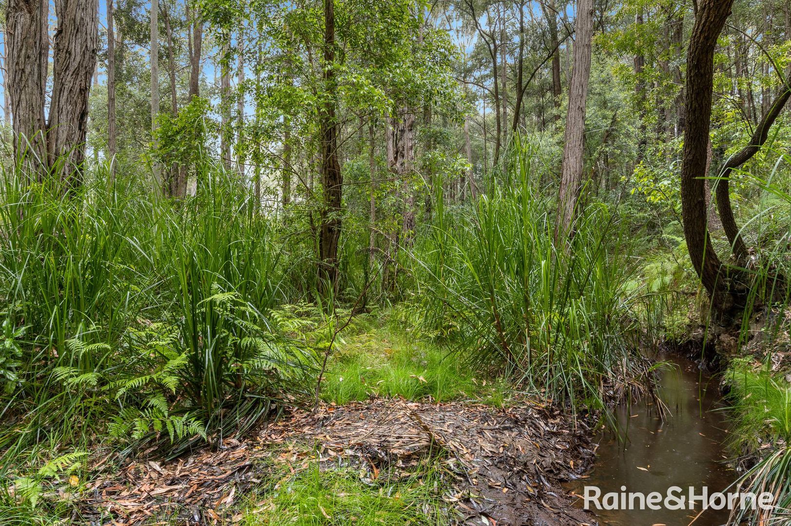 49b Woollamia Road, Falls Creek NSW 2540, Image 2