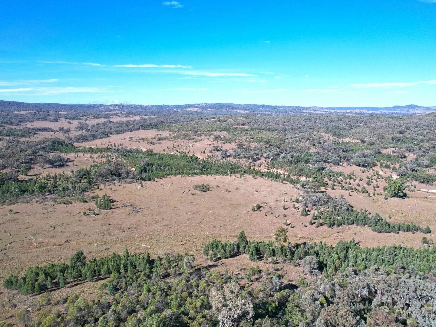 Additional image 9 of Lot 1 Hollybank Road, Inglewood QLD 4387