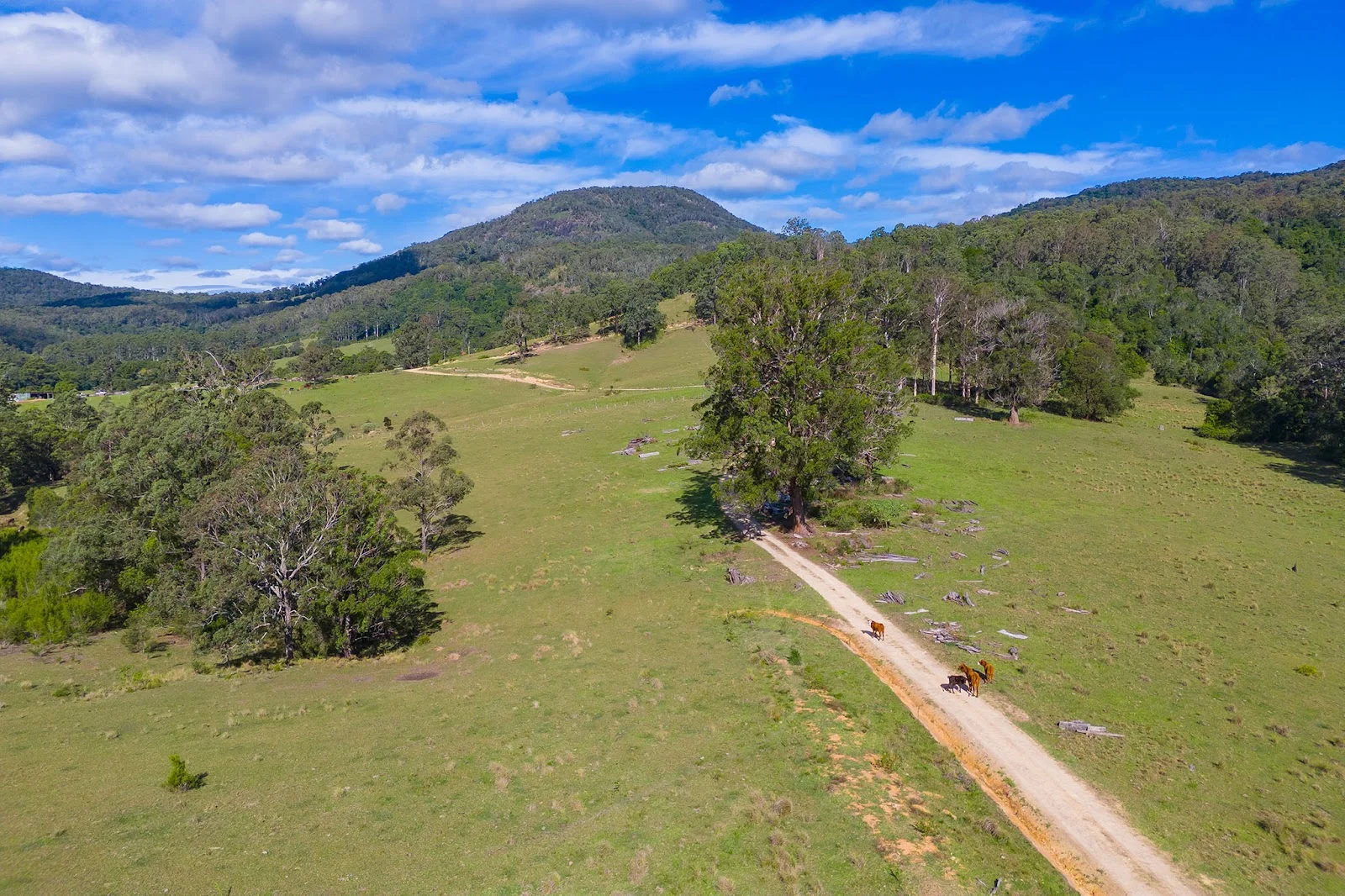 Image 28