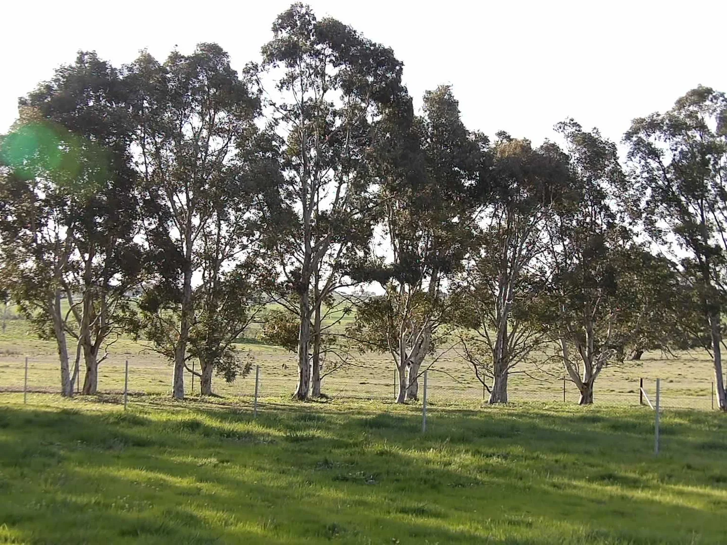 Image 7