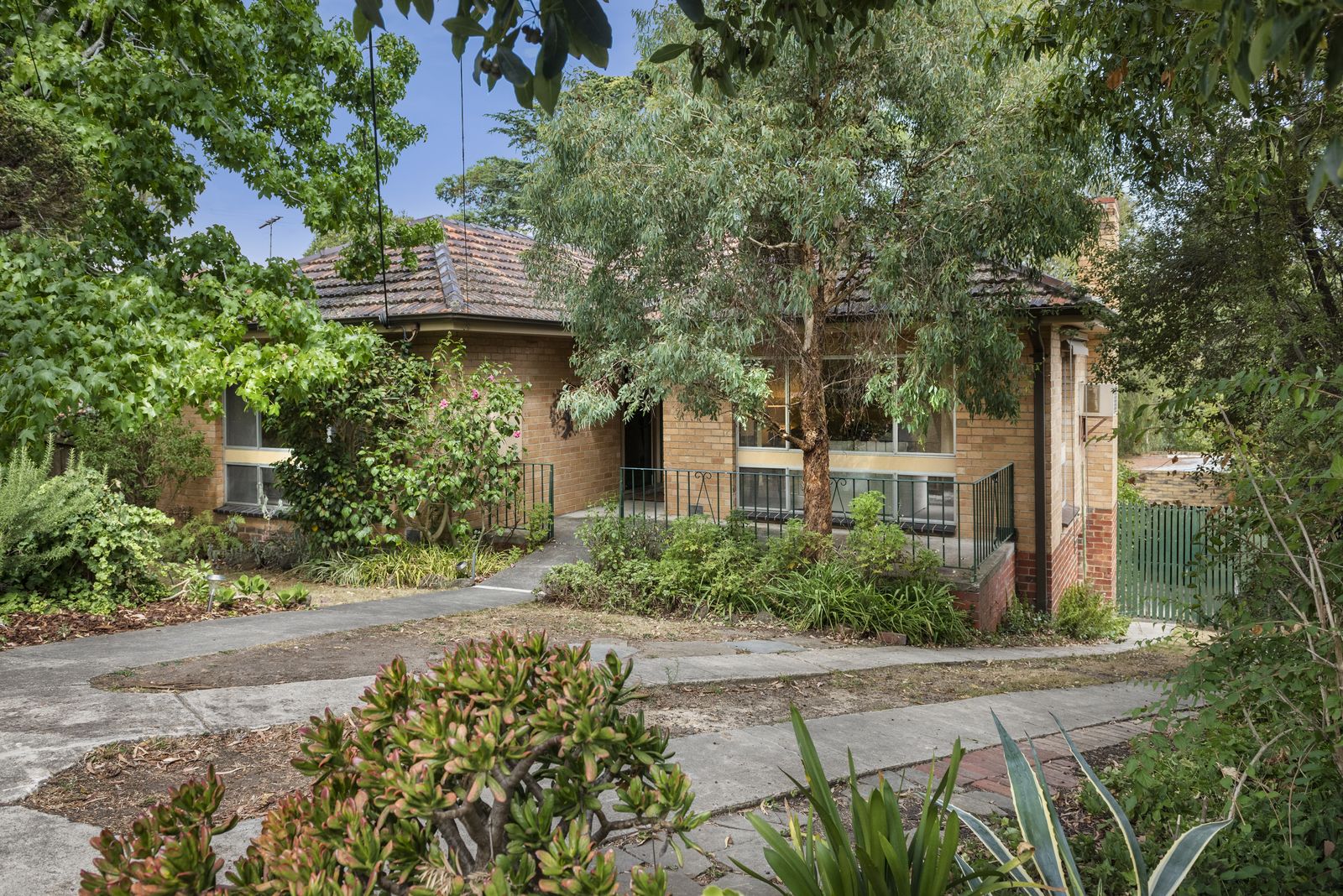 37 Alandale Road, Blackburn VIC 3130, Image 0