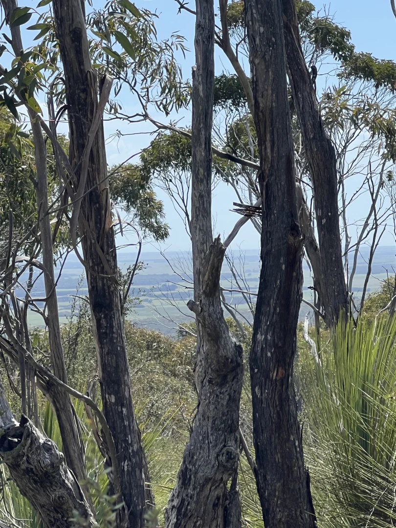 Image 9