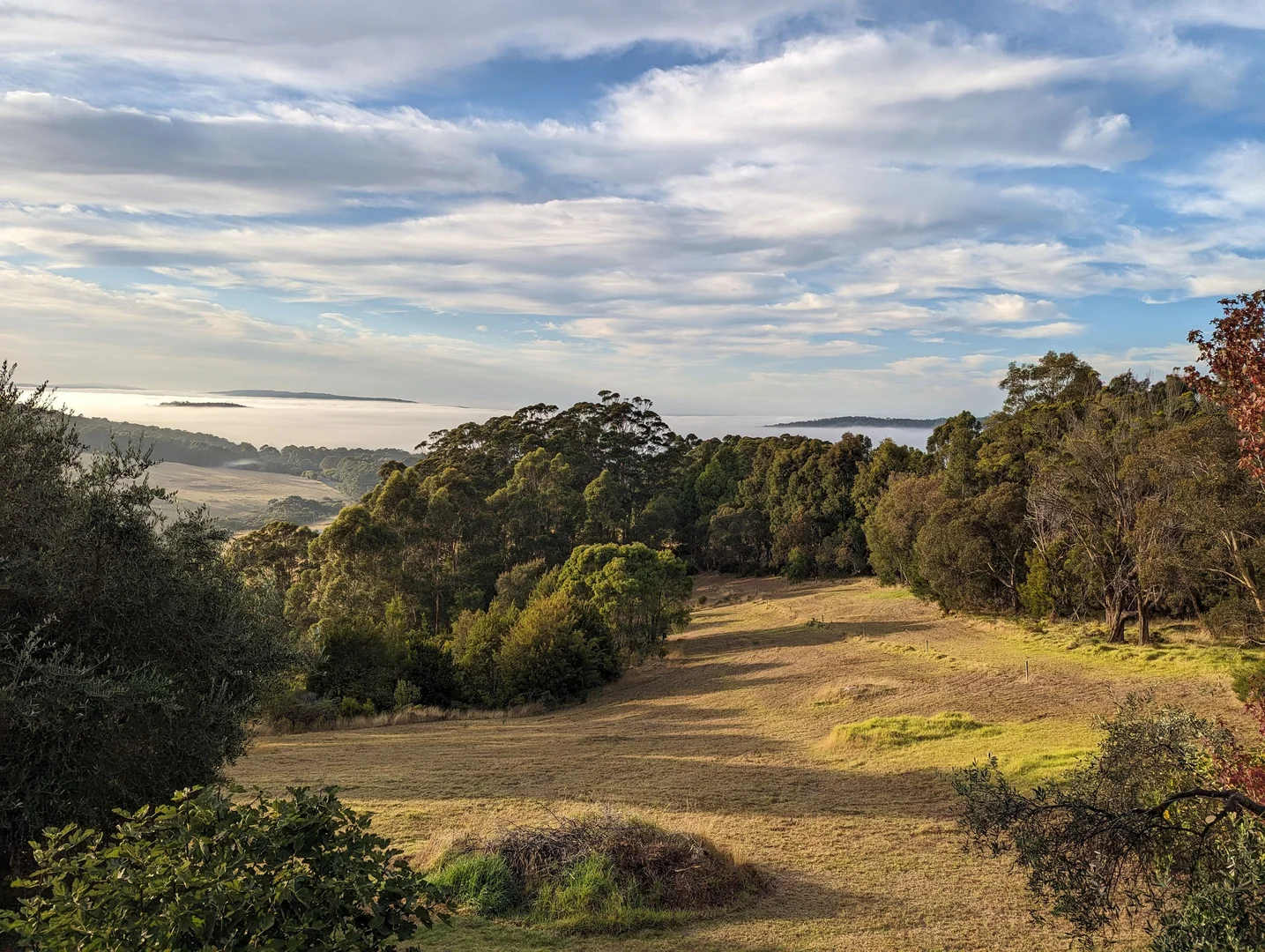 Additional image 9 of Denmark WA 6333