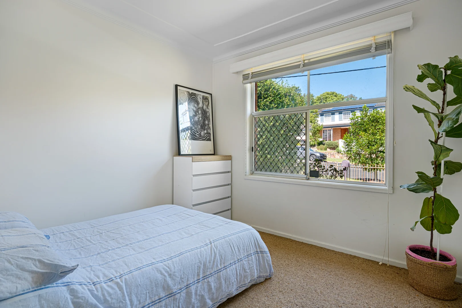 Additional image 8 of 46 South Street, Adamstown NSW 2289