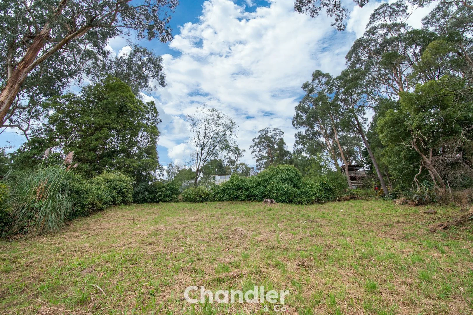 Additional image 12 of 67 Kaola Street, Belgrave VIC 3160