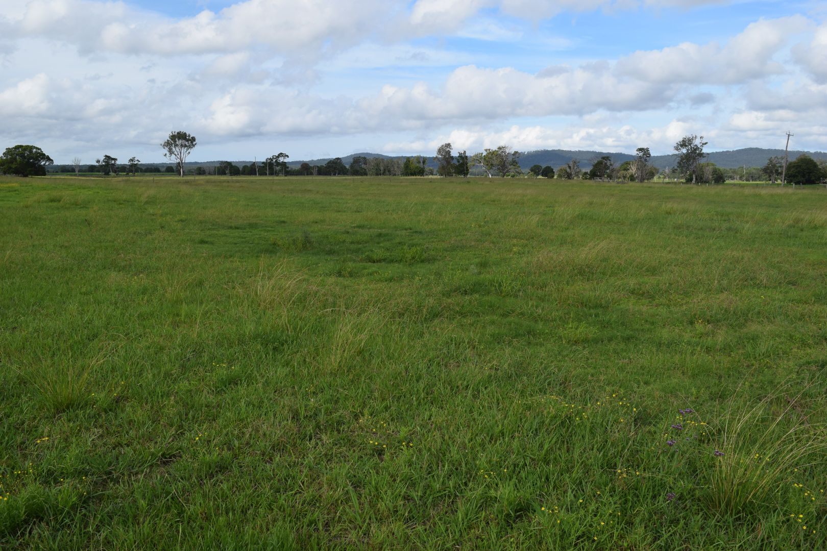 Lot 225 Lower Coldstream Road, Calliope NSW 2462, Image 2