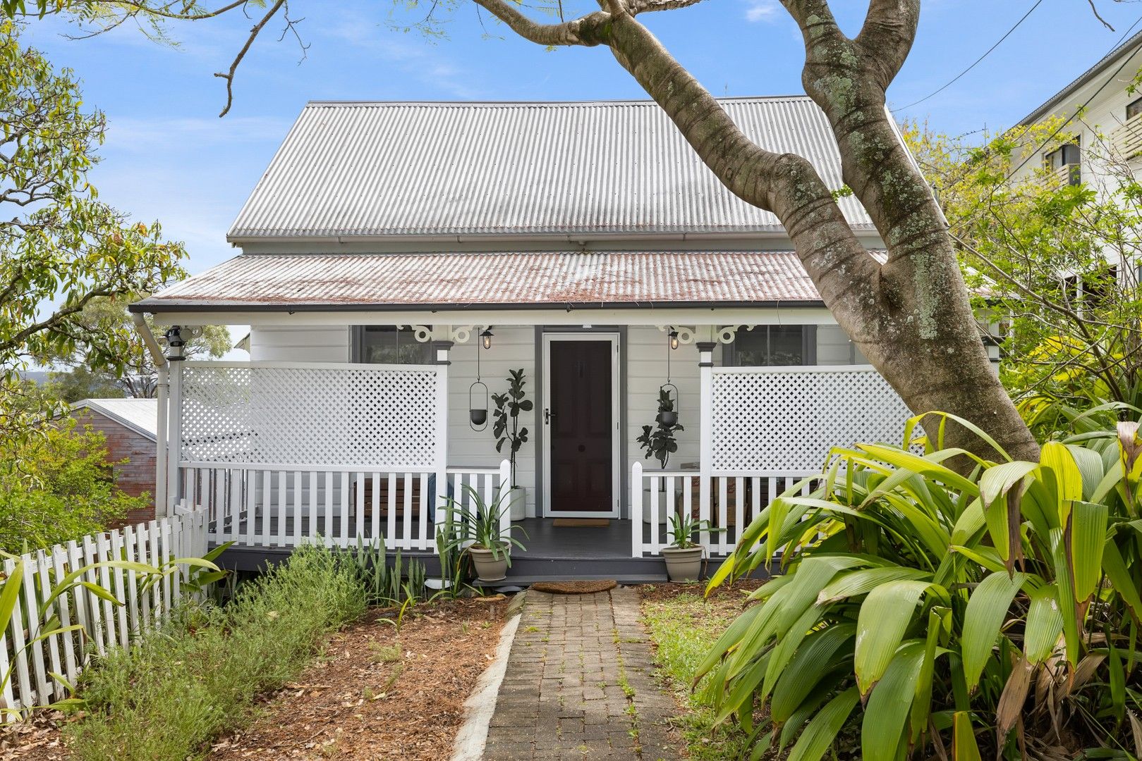 9 Atkins Street, Red Hill QLD 4059 House For Rent Domain