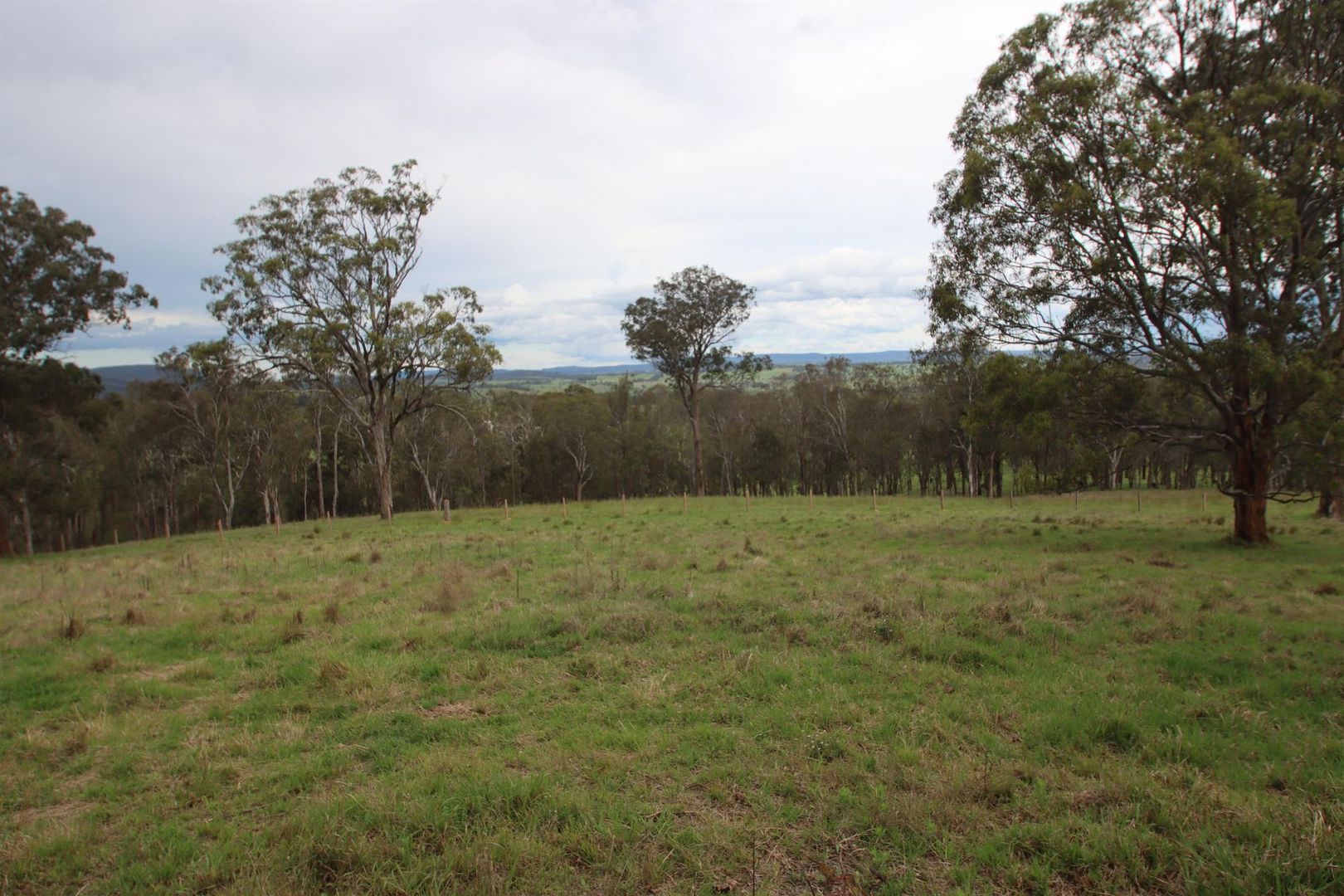 Lot 120 Black Swamp Road, Tenterfield NSW 2372, Image 2