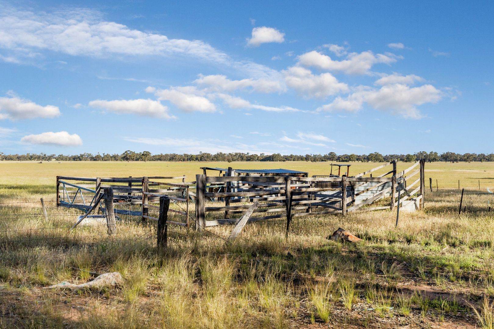 00 Bailie Road, Inglewood VIC 3517, Image 2