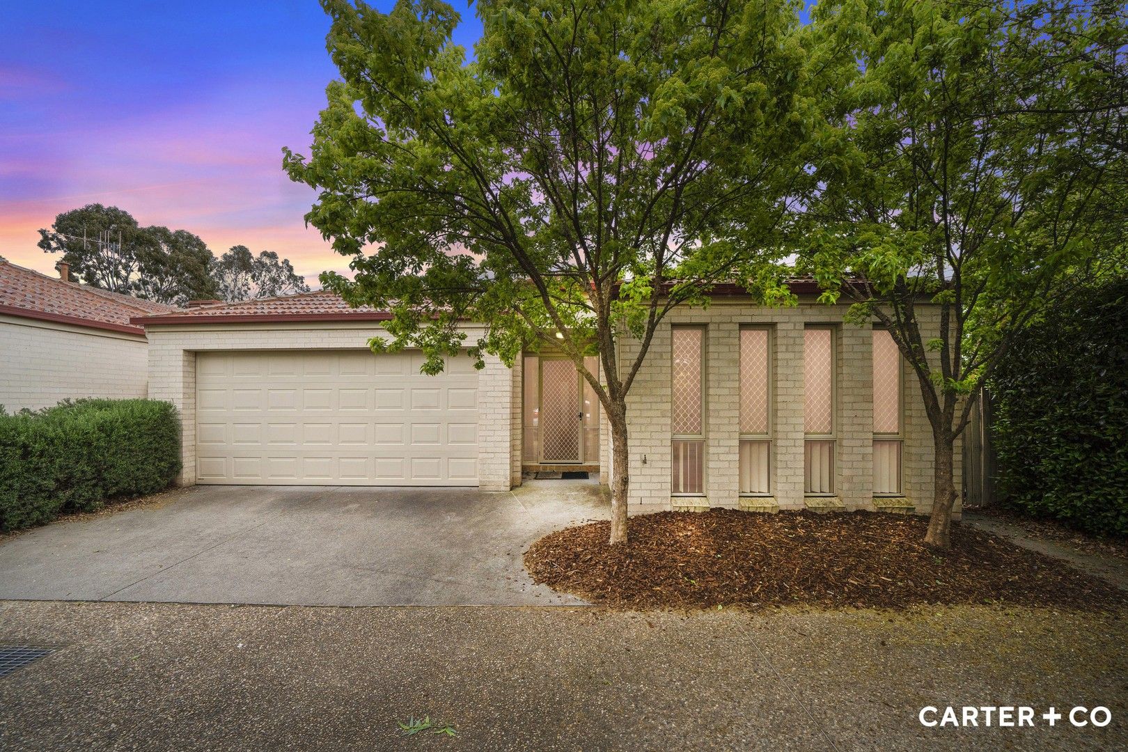 3/62 Hollingsworth Street, Gungahlin ACT 2912, Image 1