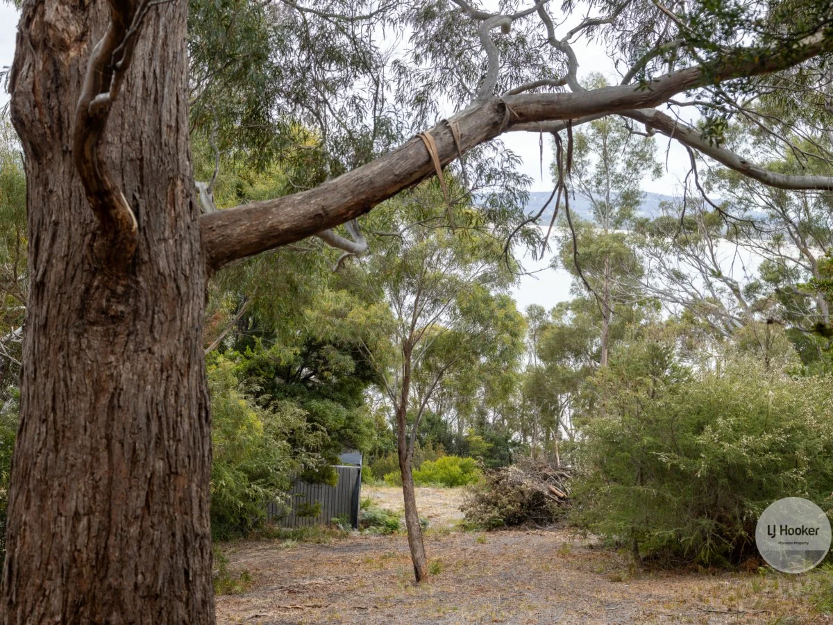 Image 16