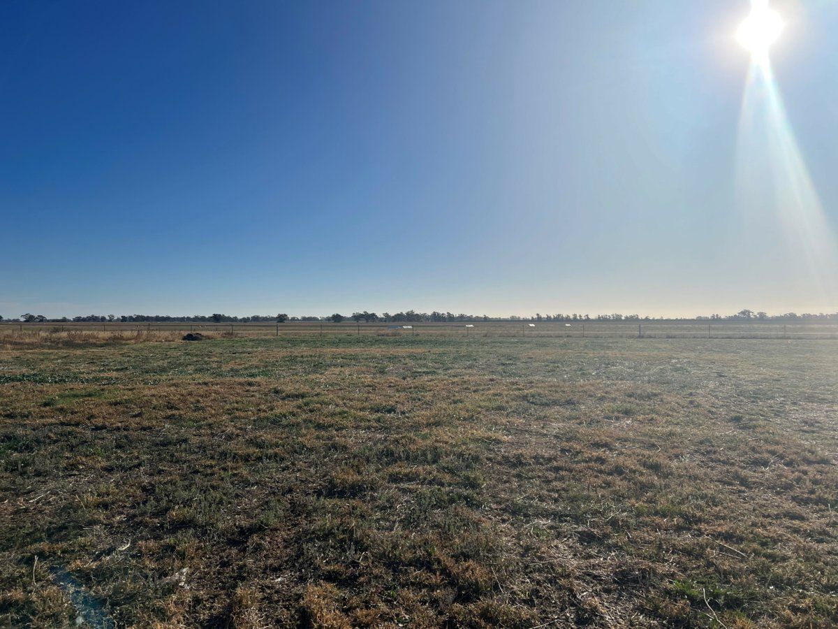 LOT 63 Kingsford Smith Place, Narromine NSW 2821, Image 2