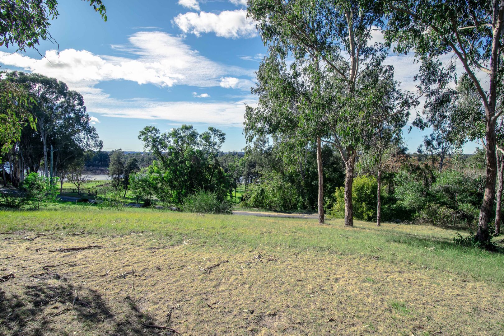 1 Riverbank Drive, Emu Heights NSW 2750, Image 1