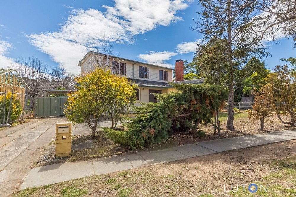 117 Antill Street, Downer ACT 2602, Image 0