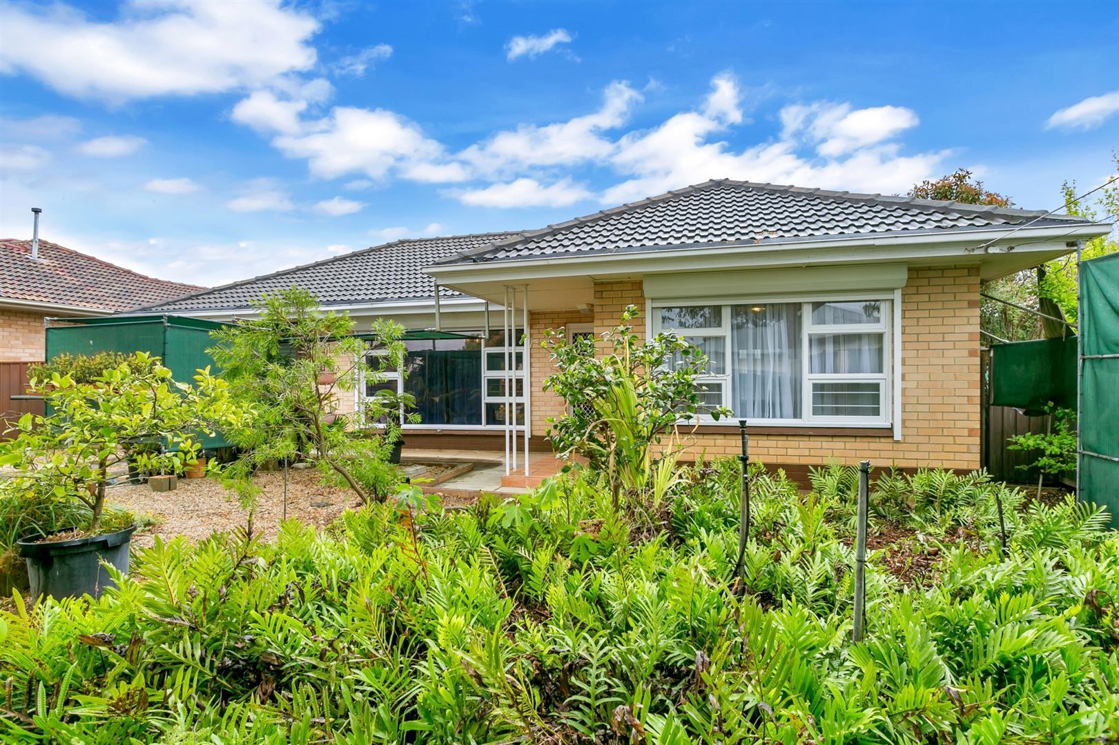 71 Lewis Street, South Brighton SA 5048, Image 0