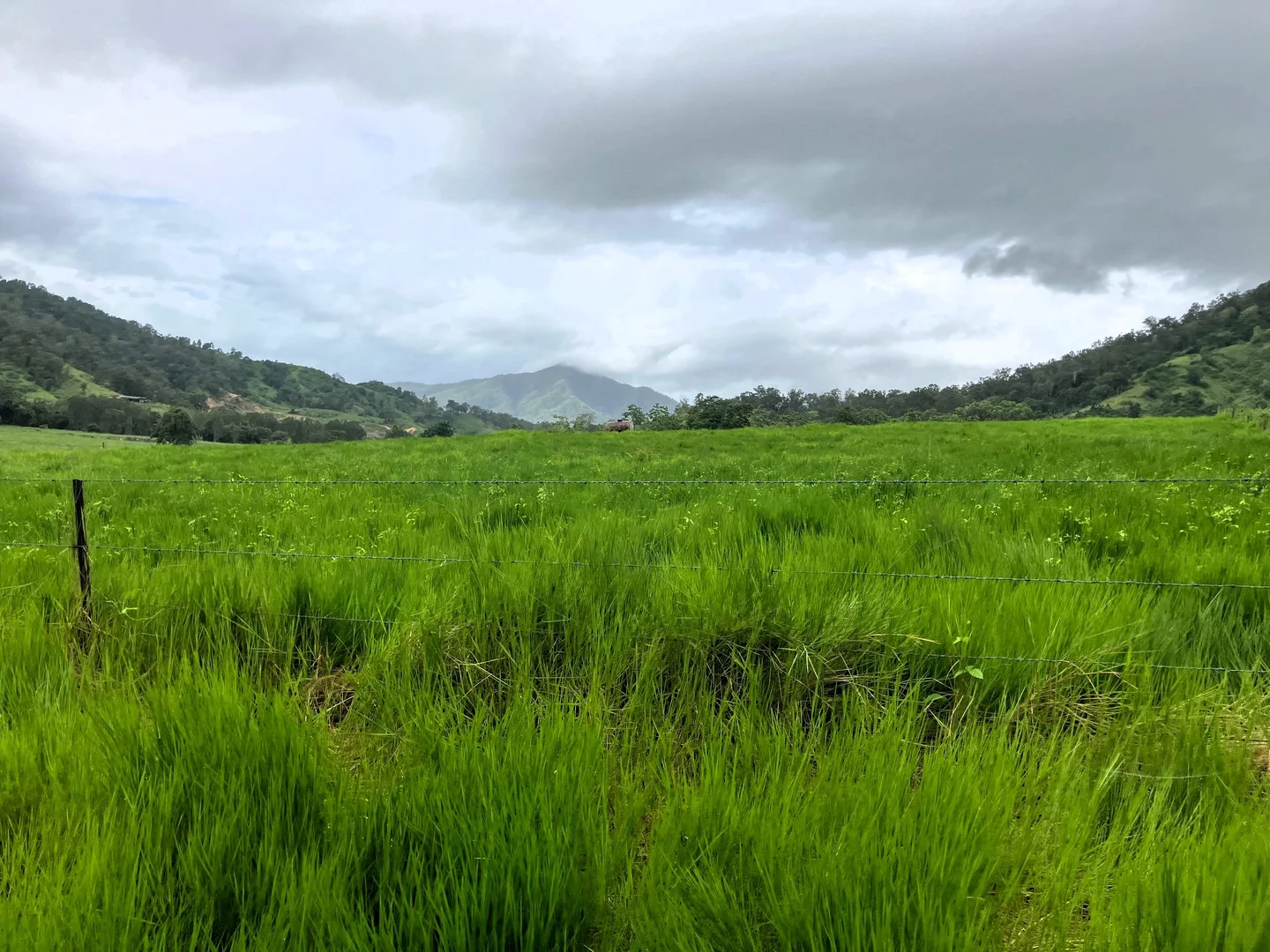 Additional image 7 of Gorge Road, Finch Hatton QLD 4756