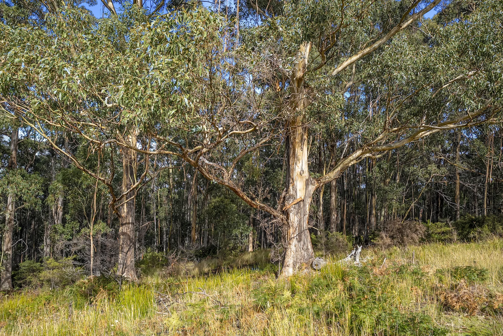 Image 14