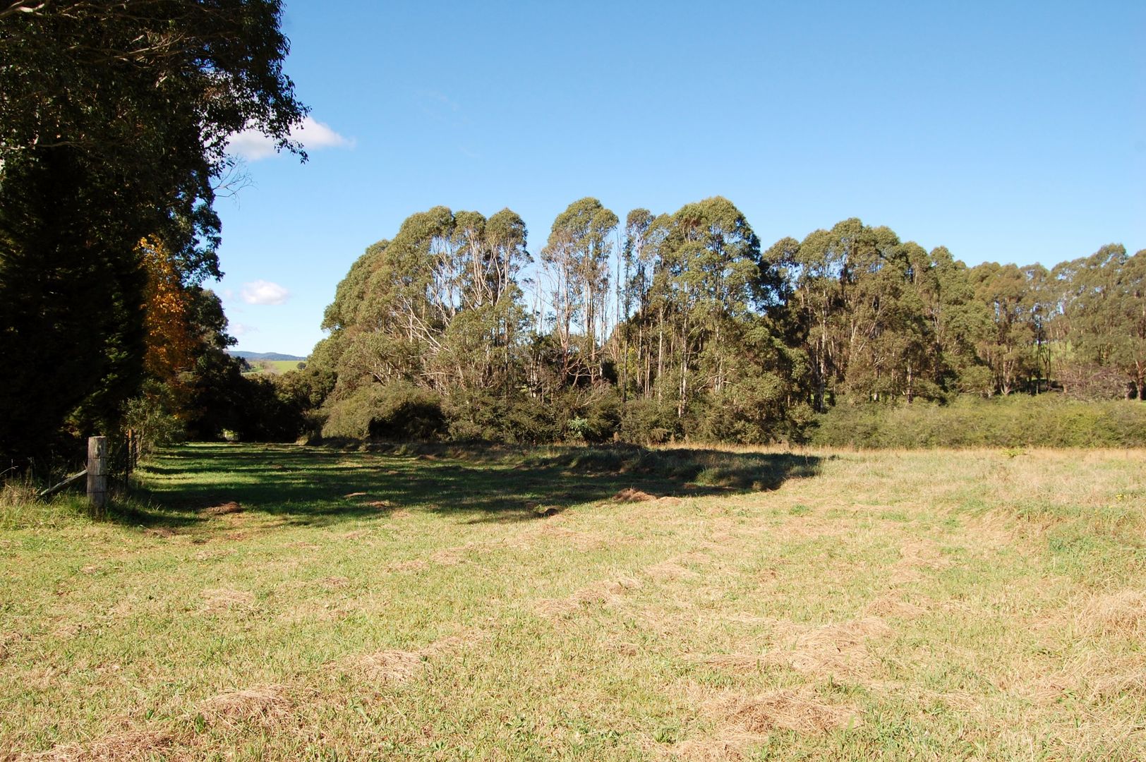 683 TYRINGHAM ROAD, Dorrigo NSW 2453, Image 2