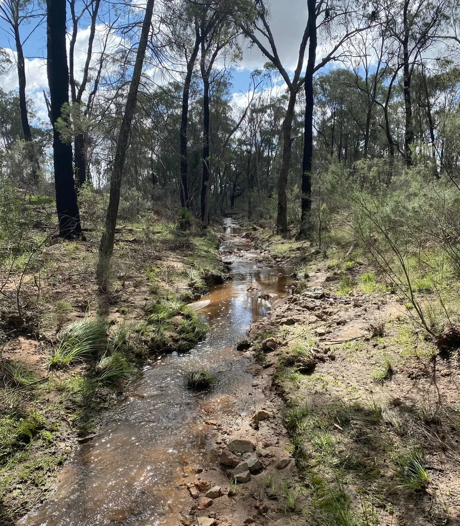 Image 22