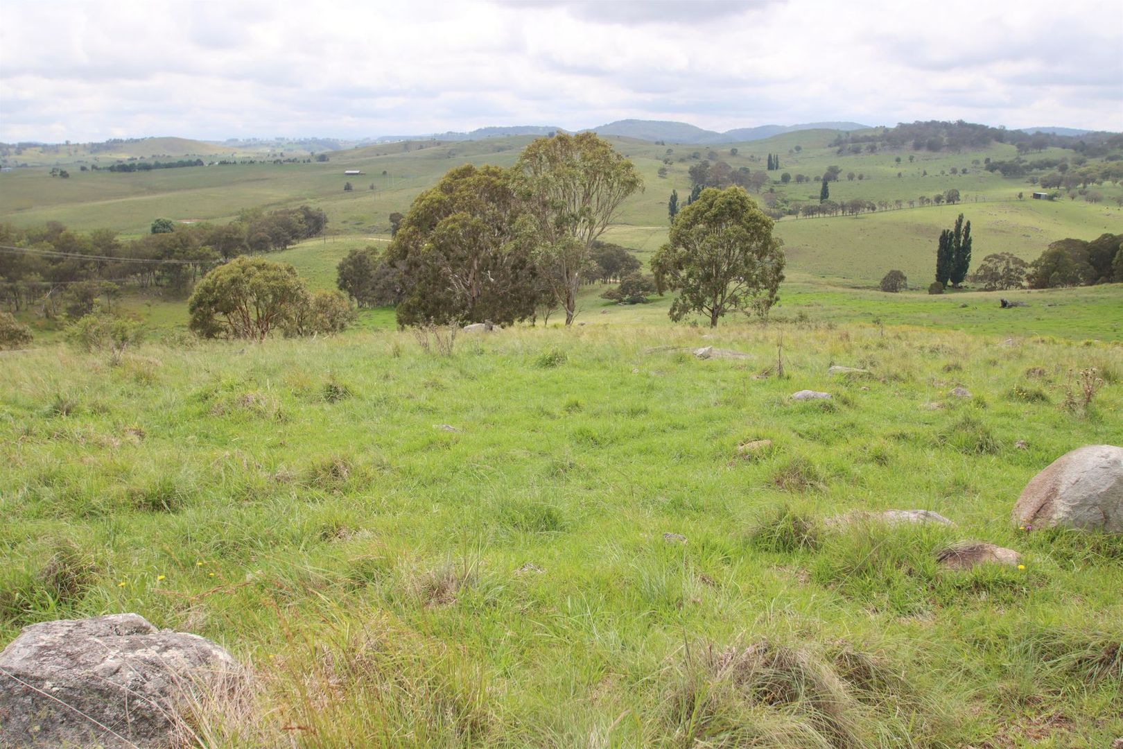 Lot 1 Kochs Road, Tenterfield NSW 2372, Image 1