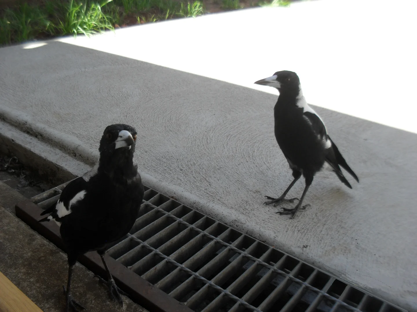 Additional image 36 of 28 Pettit Street, Warragul VIC 3820