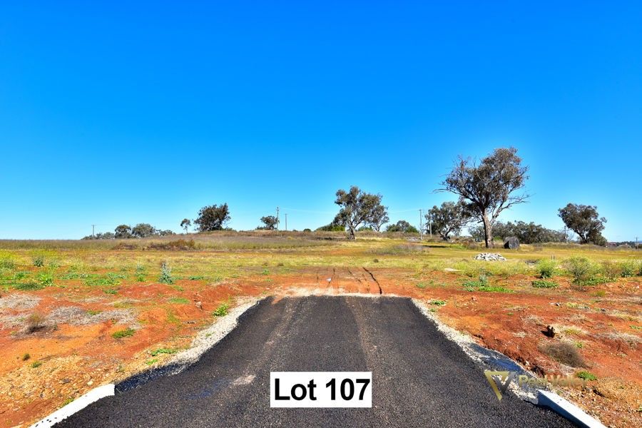 Lot 107 Premiers Street, Nemingha, Tamworth NSW 2340, Image 1