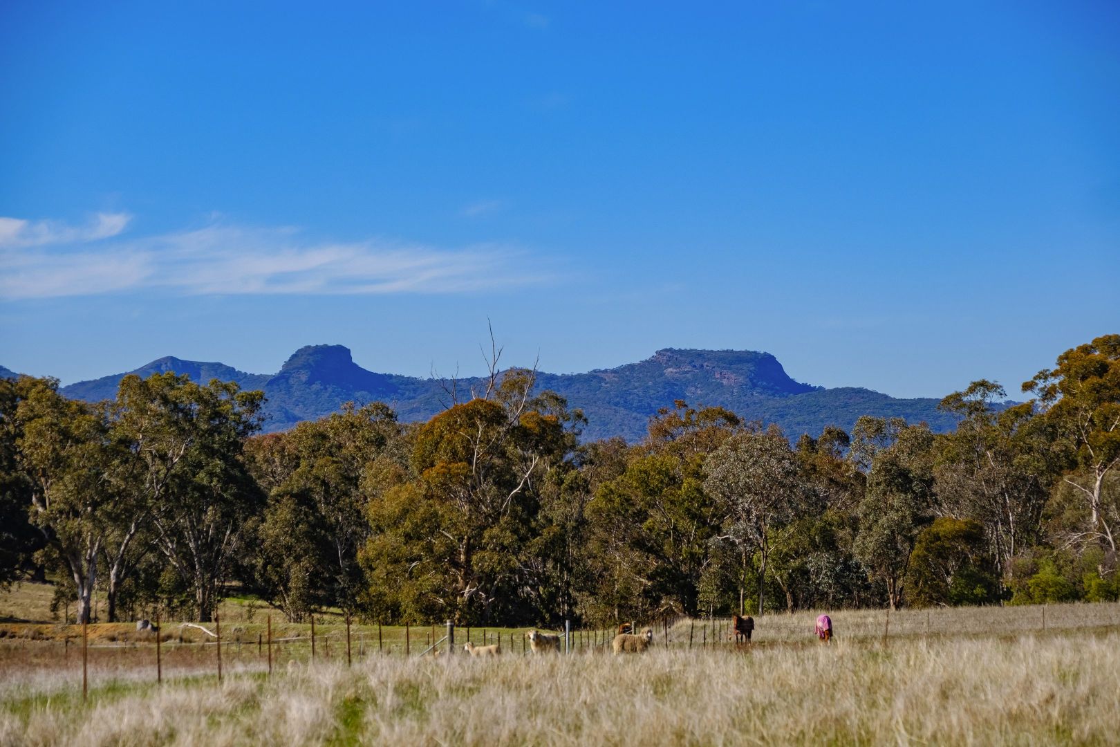 87 Margaret Street, Gerogery NSW 2642, Image 1