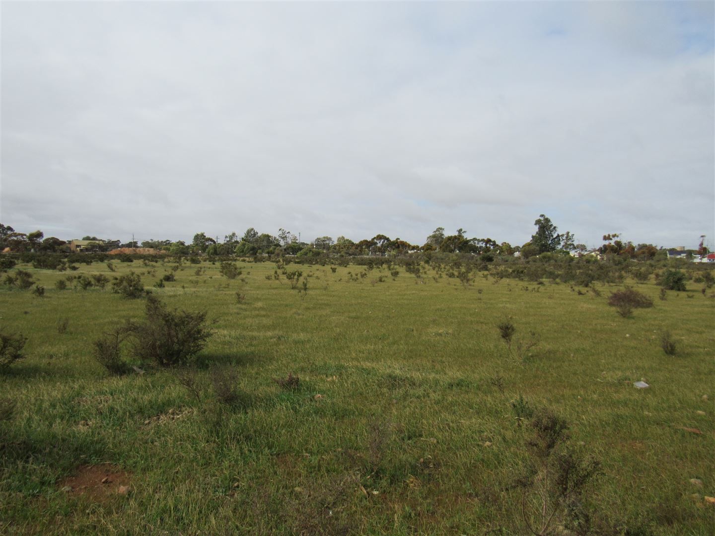 Lot 115 Telford Avenue, Peterborough SA 5422, Image 0